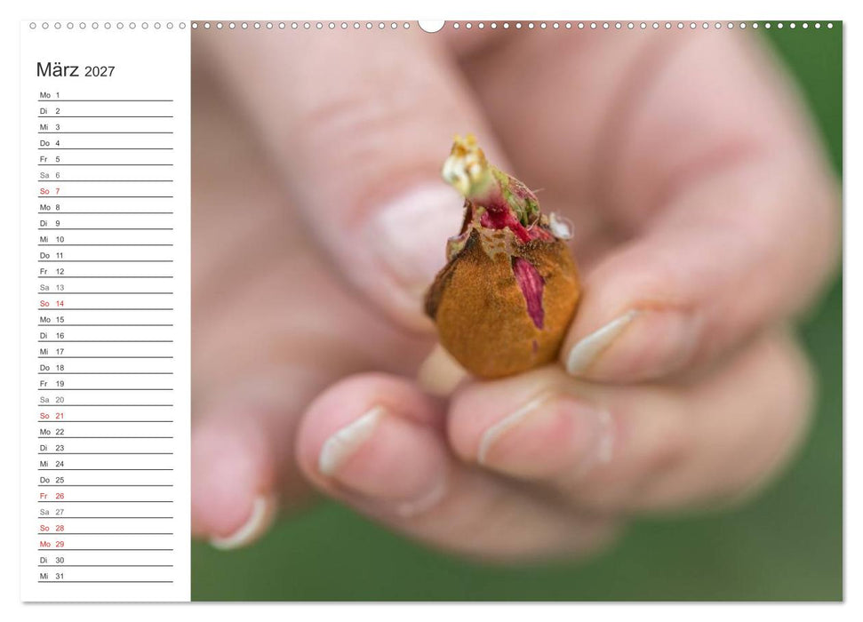 Emotionale Momente: Mandeln (CALVENDO Wandkalender 2027)
