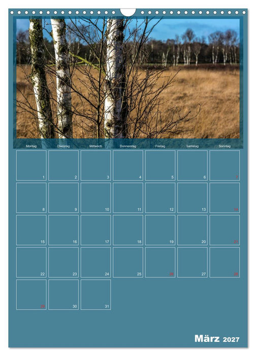 Worpswede - Künstlerdorf unter weitem Himmel (CALVENDO Wandkalender 2027)