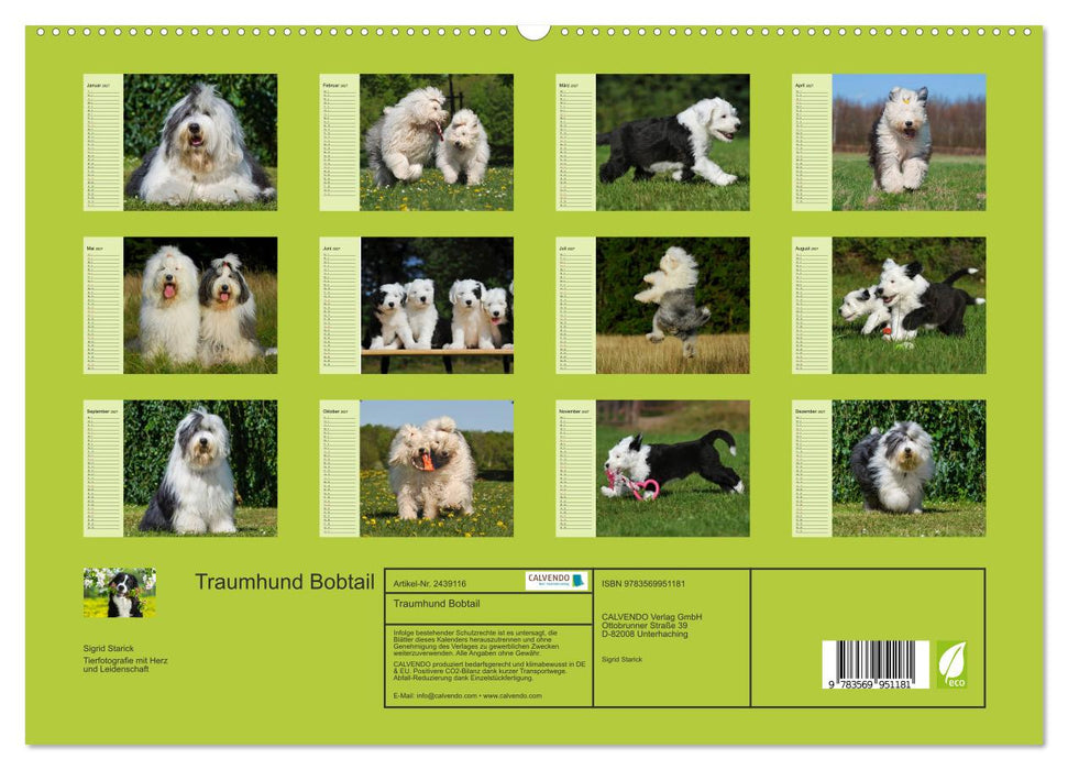 Traumhund Bobtail (CALVENDO Premium Wandkalender 2027)