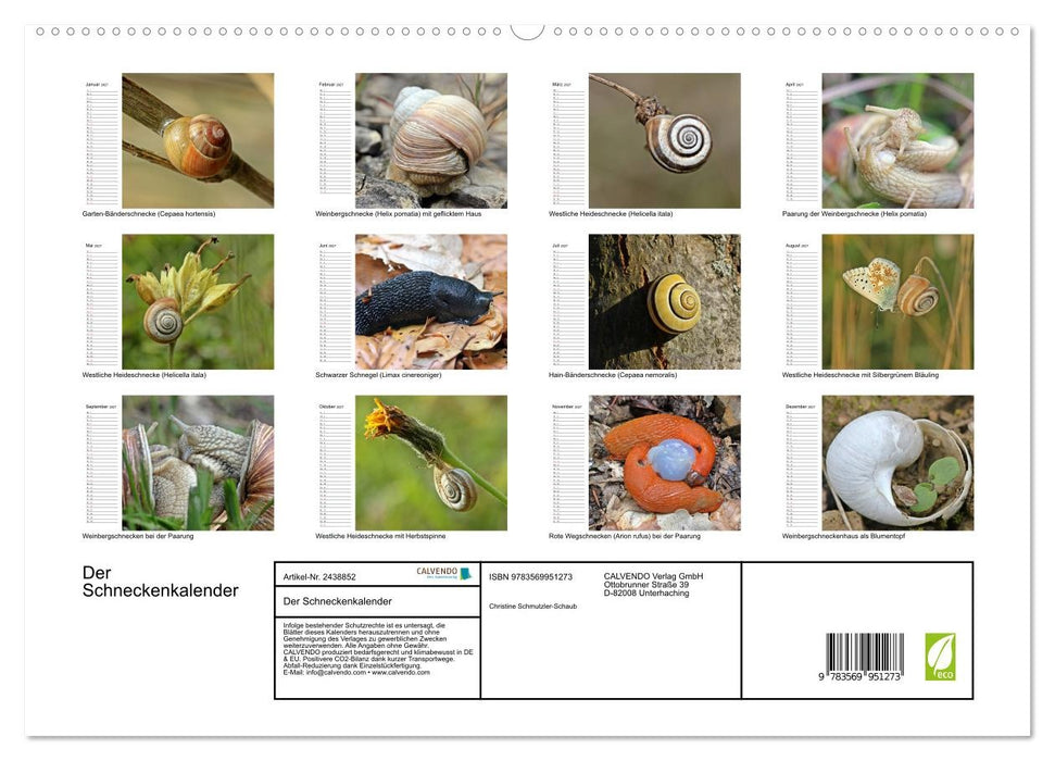 Der Schneckenkalender (CALVENDO Premium Wandkalender 2027)