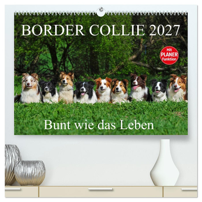 Border Collie 2027 (CALVENDO Premium Wandkalender 2027)