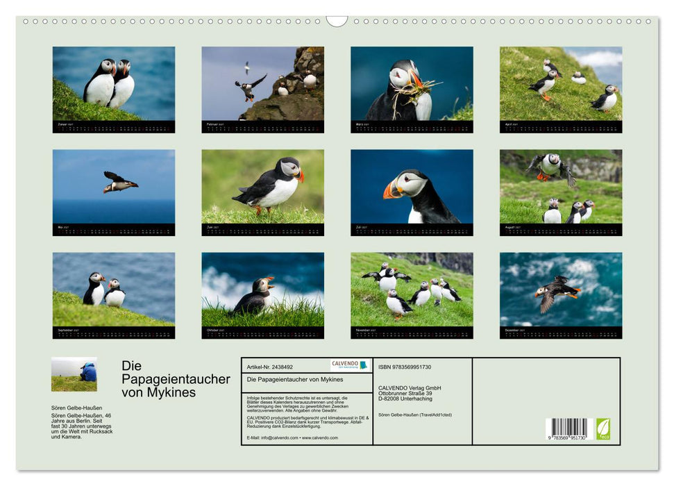 Die Papageientaucher von Mykines (CALVENDO Wandkalender 2027)