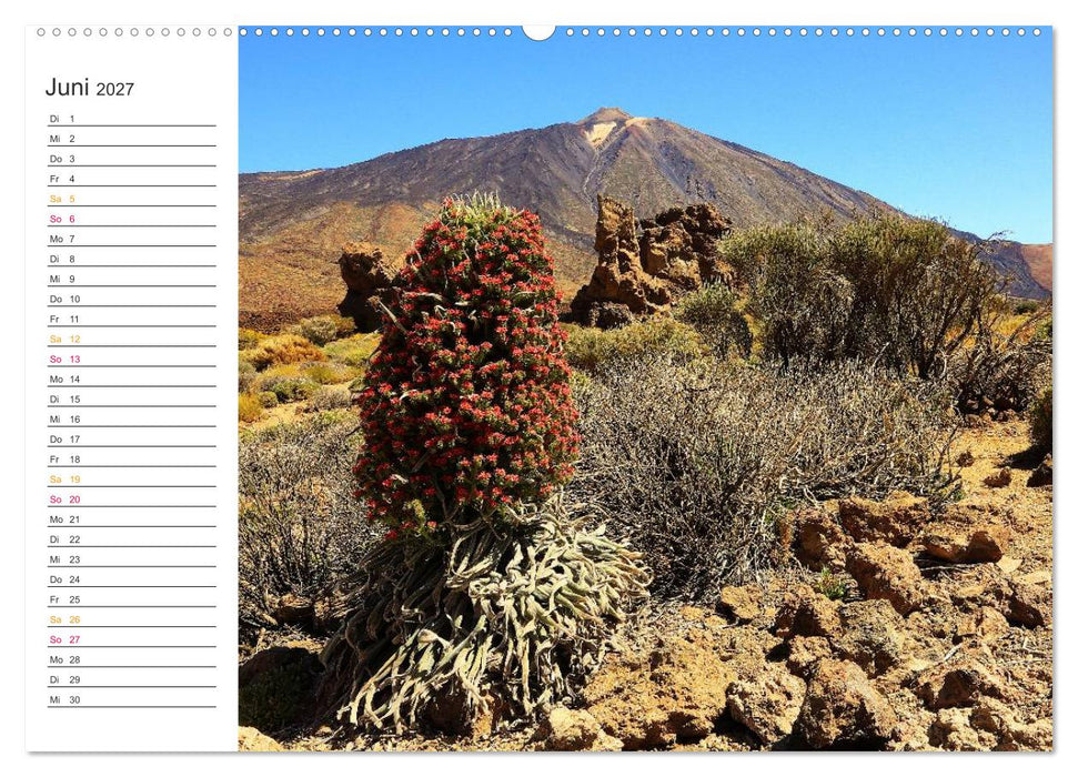 Der Norden von Teneriffa (CALVENDO Premium Wandkalender 2027)