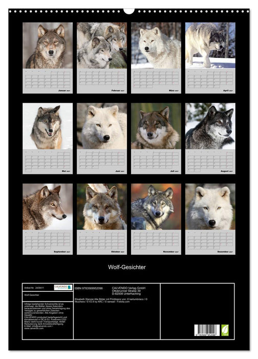 Wolf-Gesichter (CALVENDO Wandkalender 2027)