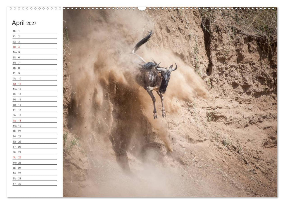Emotionale Momente: Mein wildes Afrika (CALVENDO Premium Wandkalender 2027)