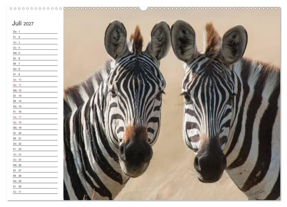 Emotionale Momente: Mein wildes Afrika (CALVENDO Premium Wandkalender 2027)