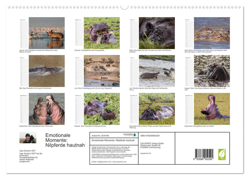 Emotionale Momente: Nilpferde hautnah (CALVENDO Premium Wandkalender 2027)