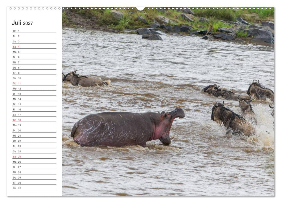Emotionale Momente: Nilpferde hautnah (CALVENDO Premium Wandkalender 2027)