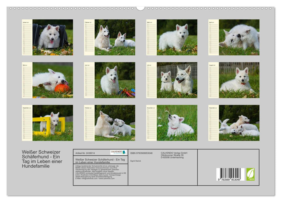 Weißer Schweizer Schäferhund - Ein Tag im Leben einer Hundefamilie (CALVENDO Premium Wandkalender 2027)