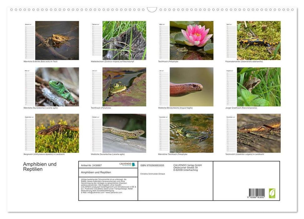 Amphibien und Reptilien (CALVENDO Wandkalender 2027)