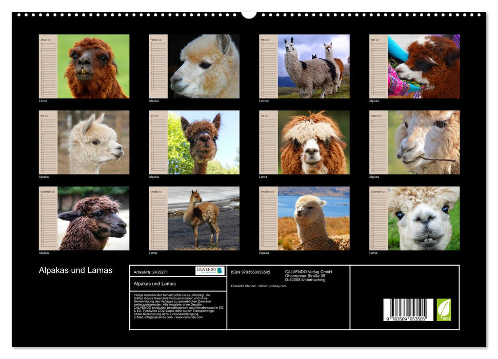 Alpakas und Lamas (CALVENDO Premium Wandkalender 2027)