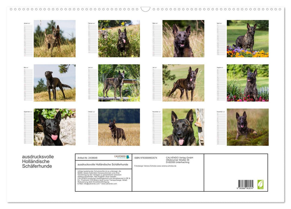 ausdrucksvolle Holländische Schäferhunde (CALVENDO Wandkalender 2027)