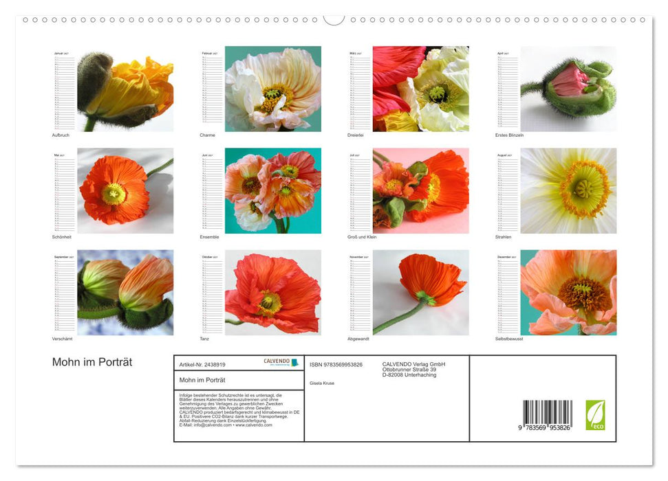 Mohn im Porträt (CALVENDO Premium Wandkalender 2027)