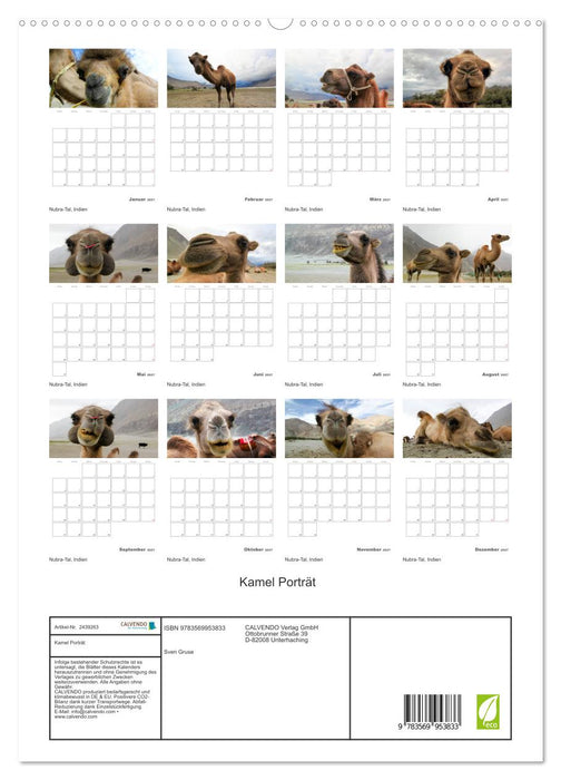 Kamel Porträt (CALVENDO Premium Wandkalender 2027)