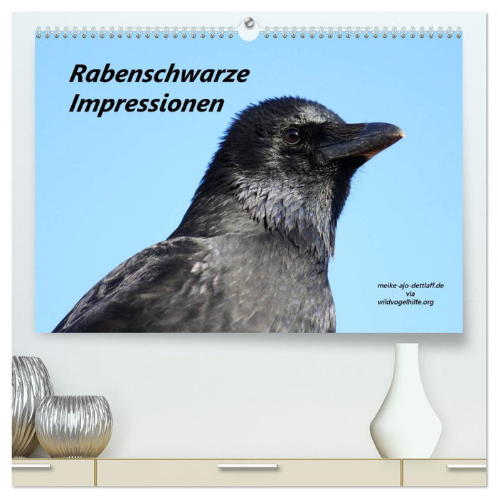 Rabenschwarze Impressionen - Meike Ajo Dettlaff via Wildvogelhlfe (CALVENDO Premium Wandkalender 2027)