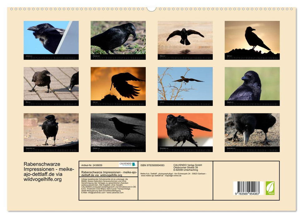 Rabenschwarze Impressionen - Meike Ajo Dettlaff via Wildvogelhlfe (CALVENDO Premium Wandkalender 2027)