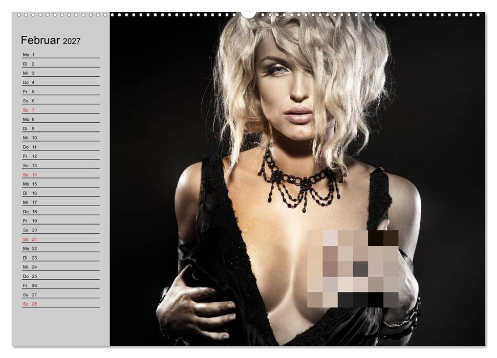 Erotik. Pure Verführung (CALVENDO Wandkalender 2027)