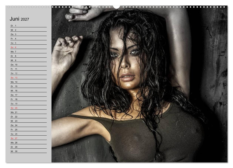 Erotik. Pure Verführung (CALVENDO Wandkalender 2027)