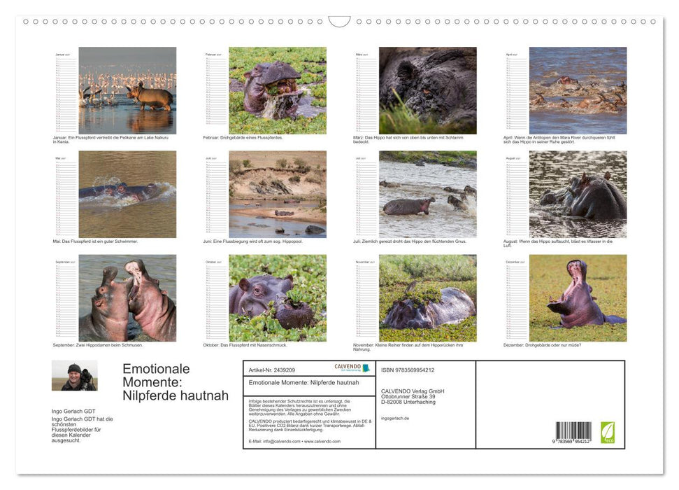 Emotionale Momente: Nilpferde hautnah (CALVENDO Wandkalender 2027)