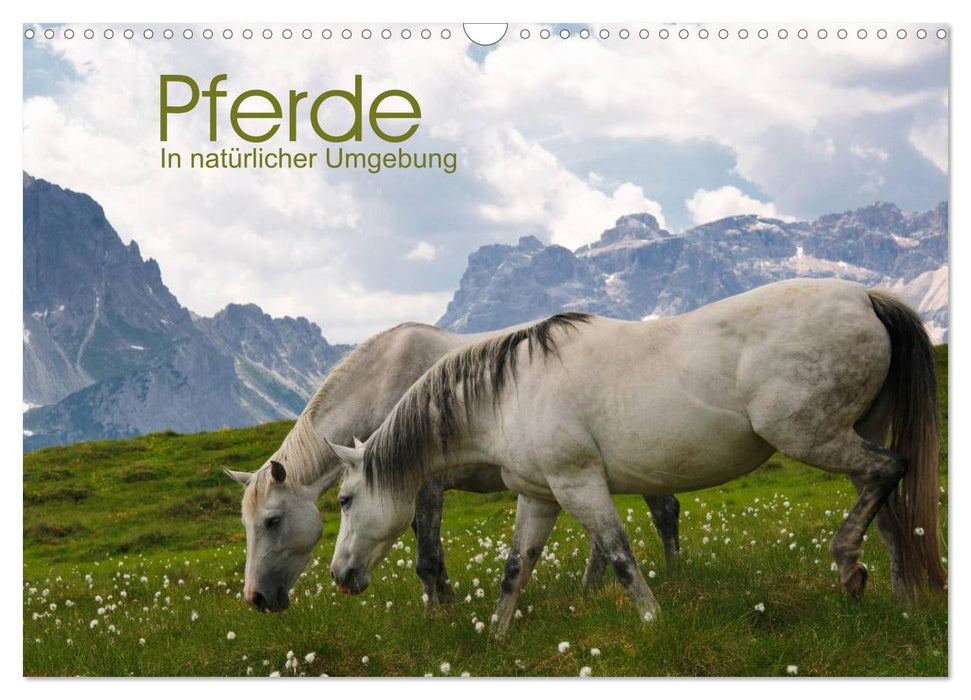 Pferde - In natürlicher Umgebung (CALVENDO Wandkalender 2027)