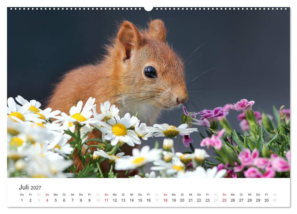 Eichhörnchen Kinder (CALVENDO Premium Wandkalender 2027)