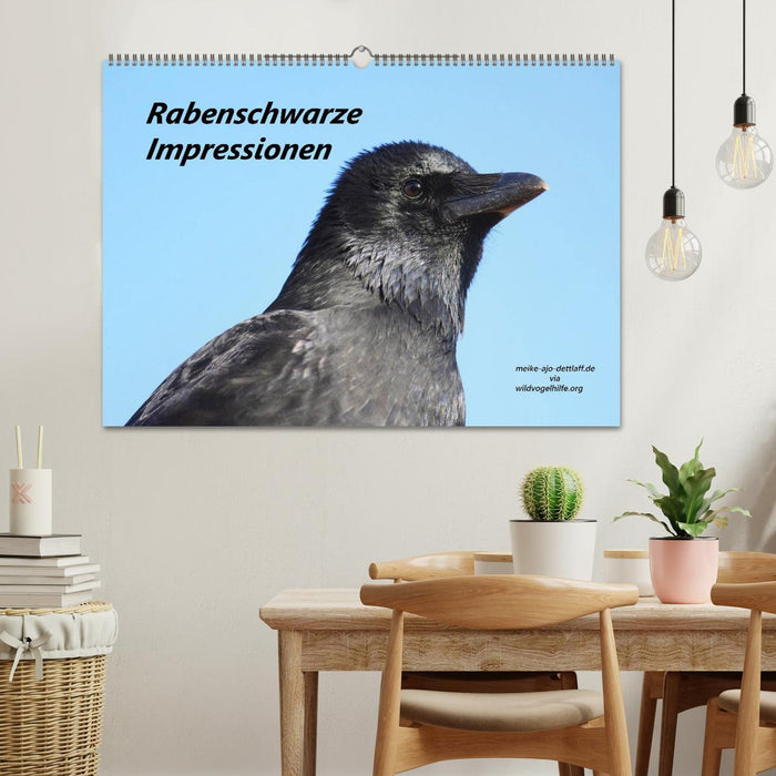Rabenschwarze Impressionen - Meike Ajo Dettlaff via Wildvogelhlfe (CALVENDO Wandkalender 2027)