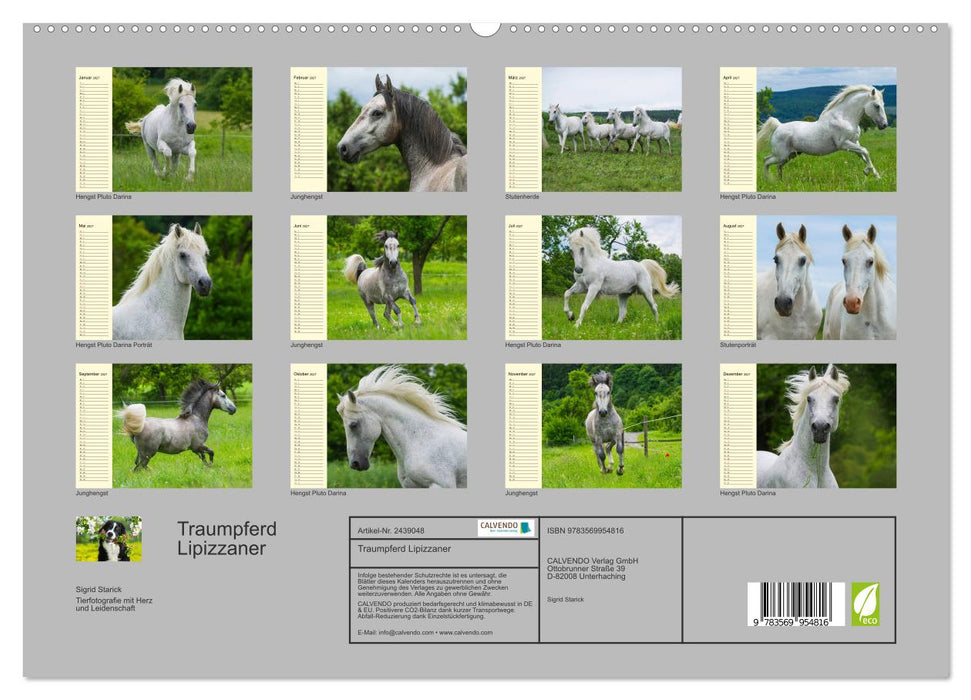 Traumpferd Lipizzaner (CALVENDO Premium Wandkalender 2027)