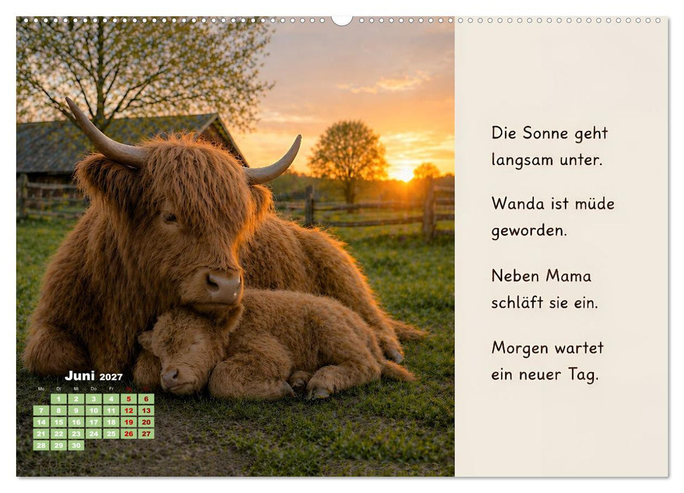 Wanda - ein kleines Kälbchen mit großem Mut (CALVENDO Wandkalender 2027)