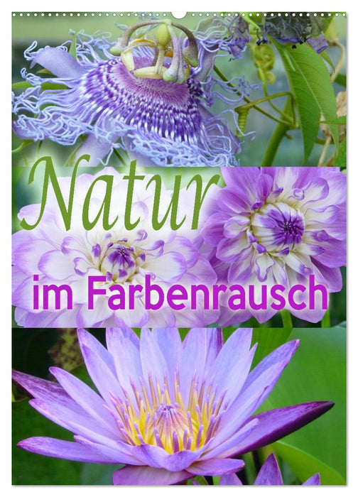 Natur im Farbenrausch (CALVENDO Wandkalender 2027)