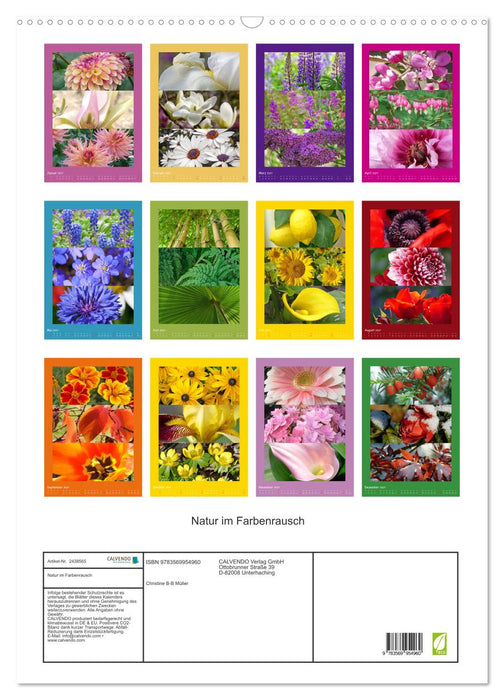 Natur im Farbenrausch (CALVENDO Wandkalender 2027)