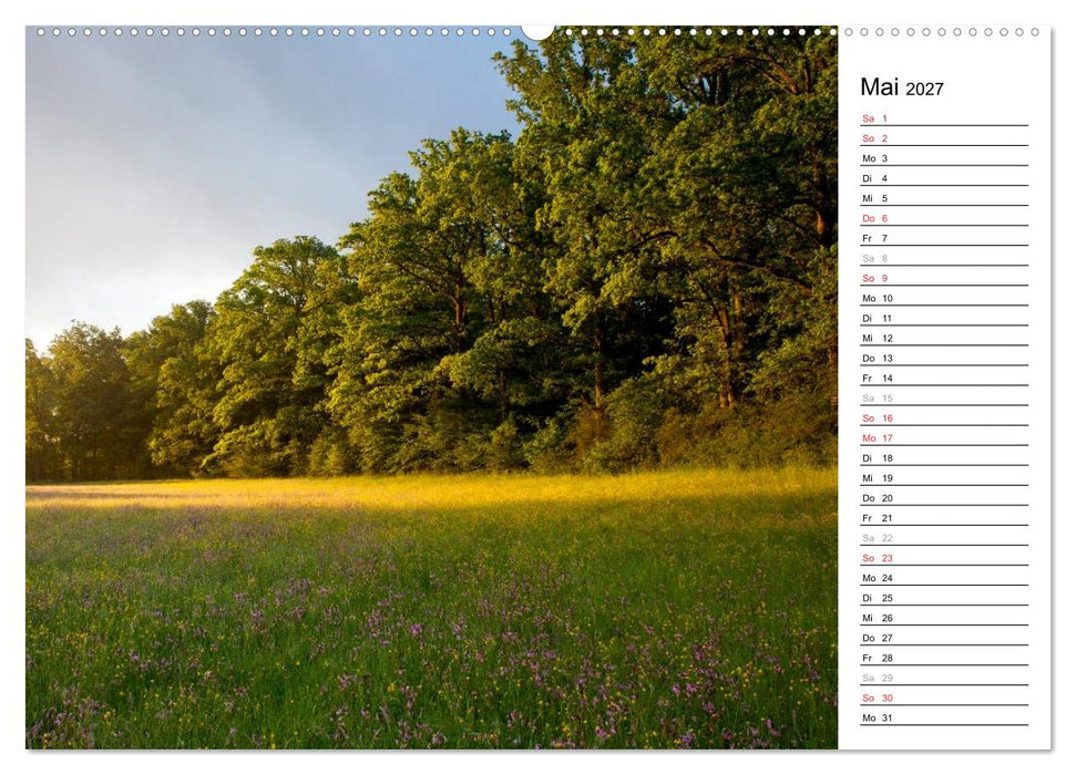 DER STEIGERWALD - Impressionen einer Landschaft (CALVENDO Wandkalender 2027)