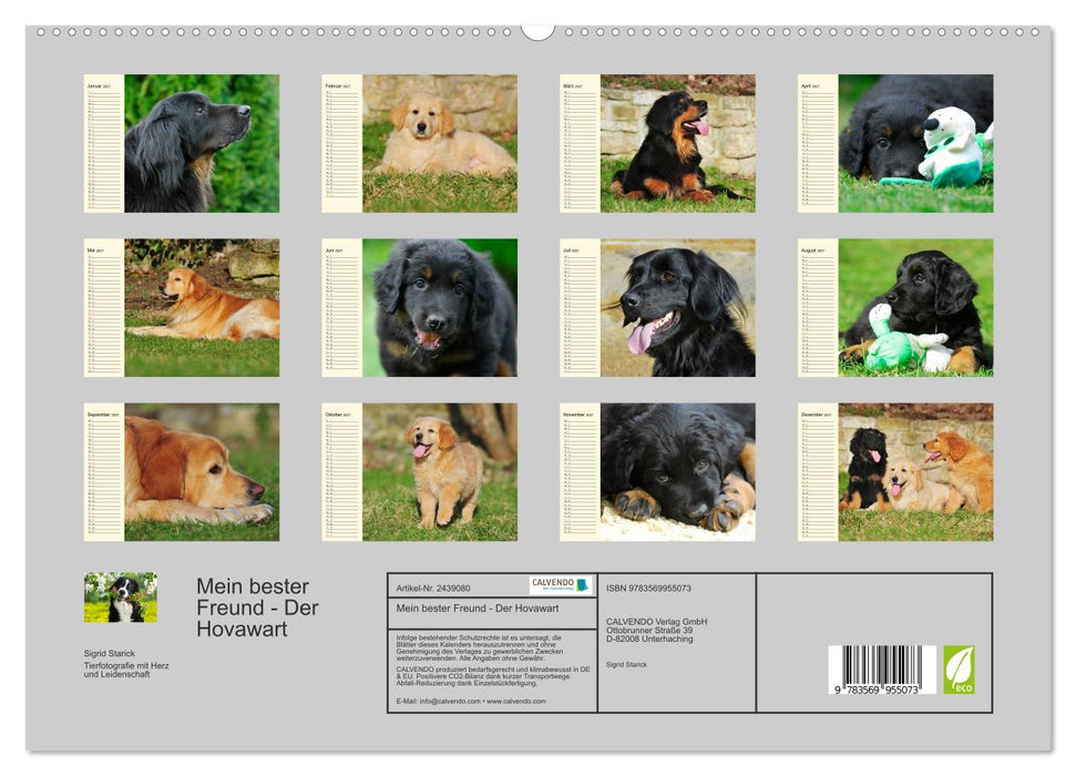 Mein bester Freund - Der Hovawart (CALVENDO Premium Wandkalender 2027)