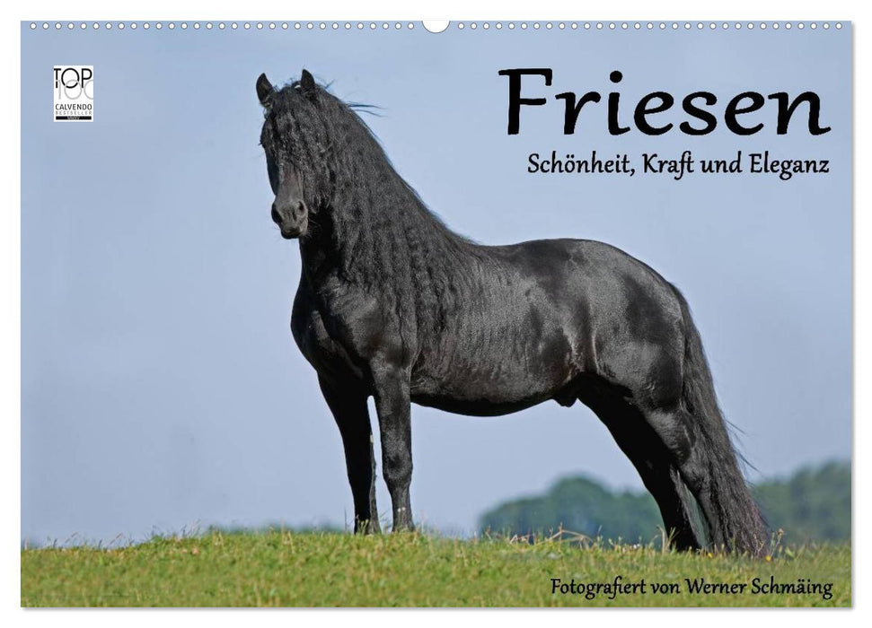 Friesen - Schönheit, Kraft und Eleganz (CALVENDO Wandkalender 2027)