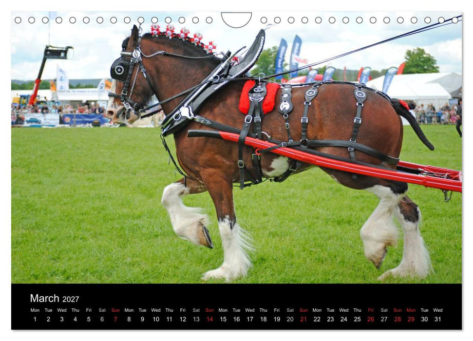 BIG BOLD AND BEAUTIFUL (CALVENDO Monthly Calendar 2027)
