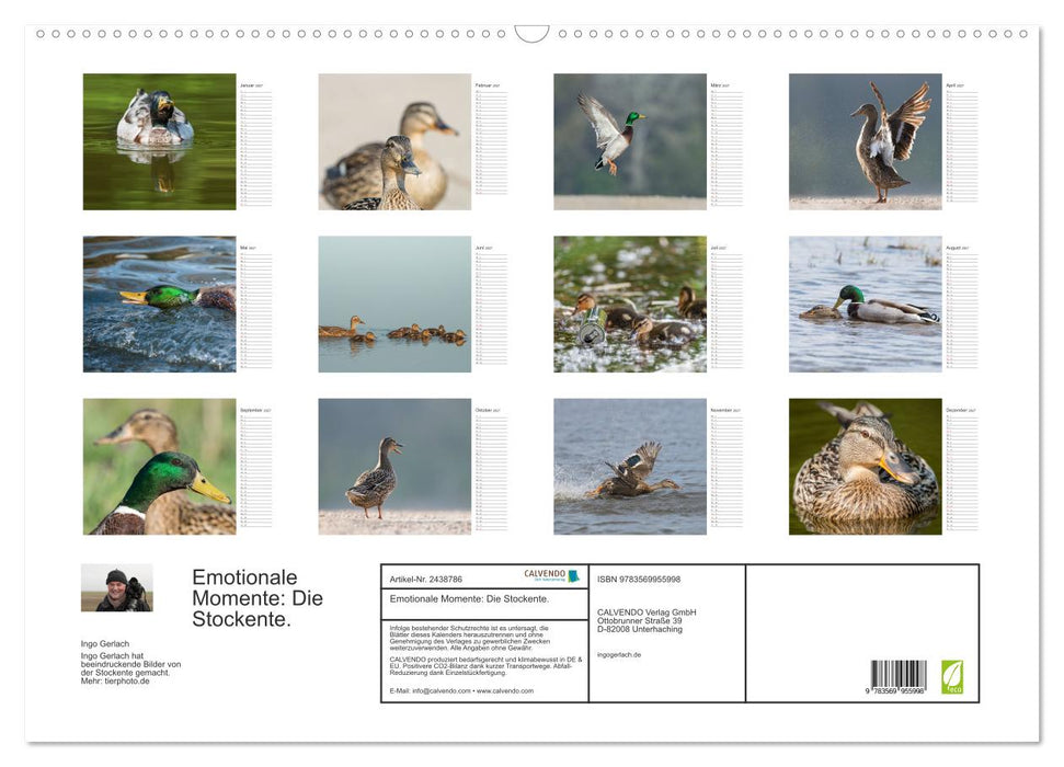 Emotionale Momente: Die Stockente. (CALVENDO Wandkalender 2027)