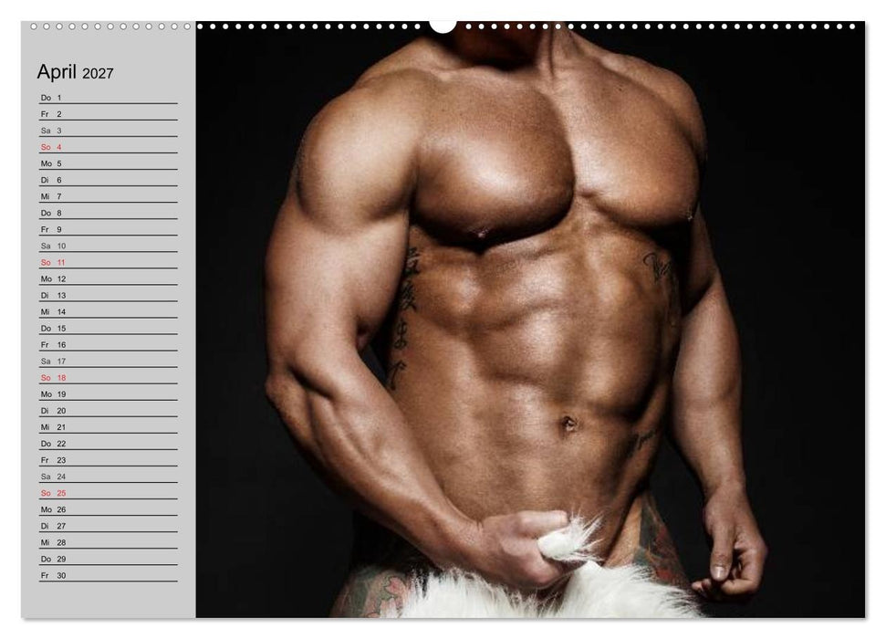 Erotische Männer. Adonis und Co. (CALVENDO Wandkalender 2027)