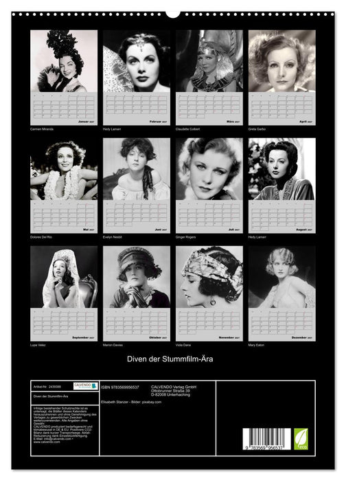 Diven der Stummfilm-Ära (CALVENDO Premium Wandkalender 2027)