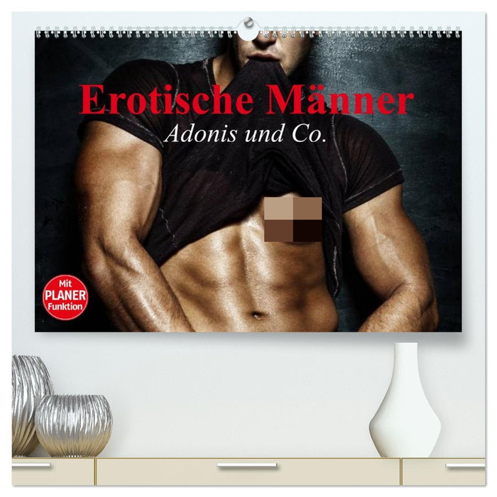 Erotische Männer. Adonis und Co. (CALVENDO Premium Wandkalender 2027)
