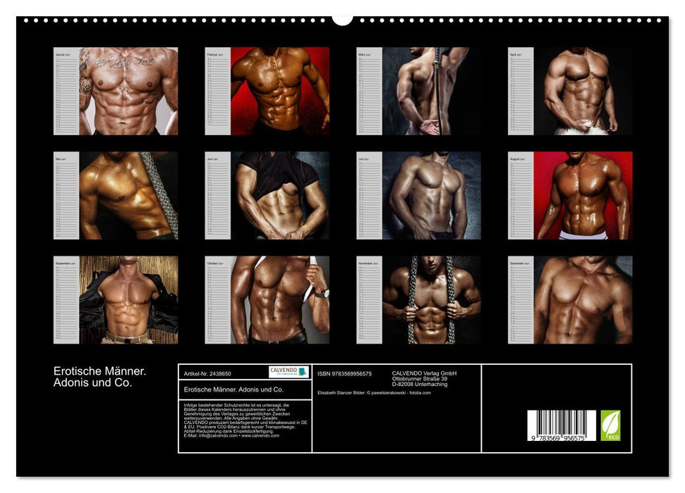 Erotische Männer. Adonis und Co. (CALVENDO Premium Wandkalender 2027)