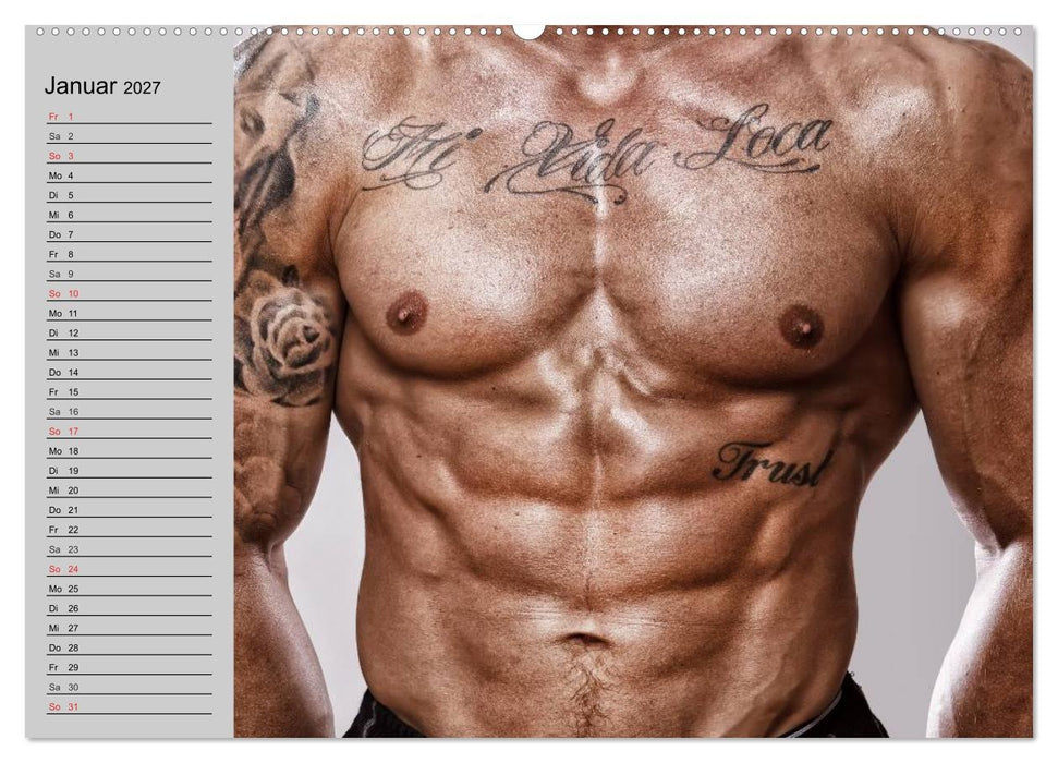 Erotische Männer. Adonis und Co. (CALVENDO Premium Wandkalender 2027)