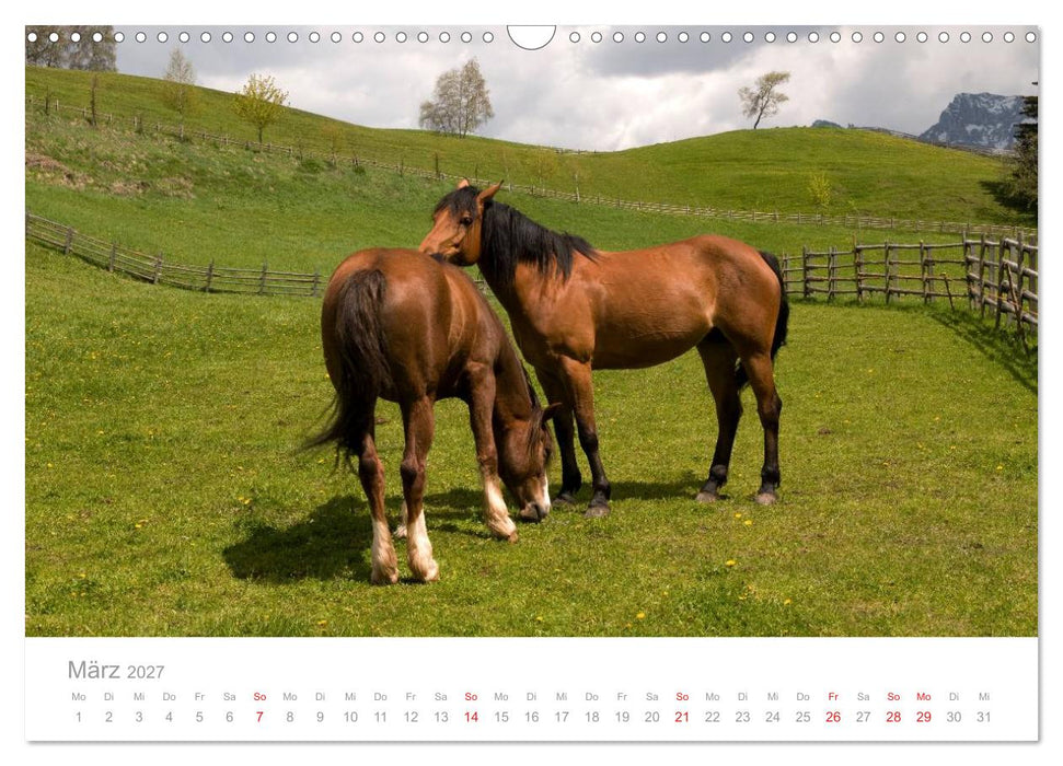 Pferde - Hobby und Leidenschaft (CALVENDO Wandkalender 2027)