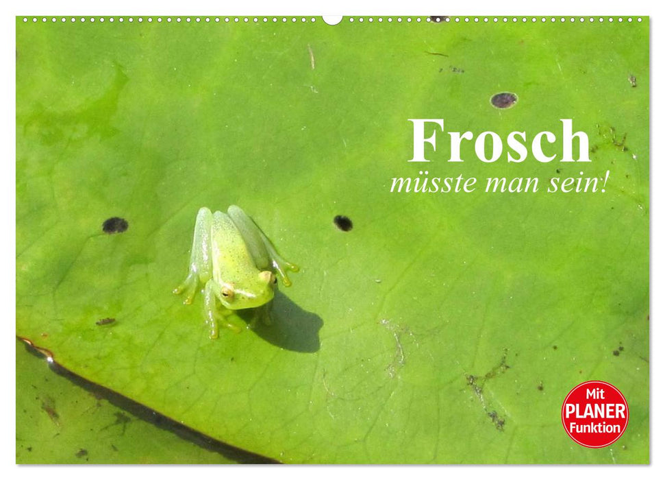 Frosch müsste man sein! (CALVENDO Wandkalender 2027)