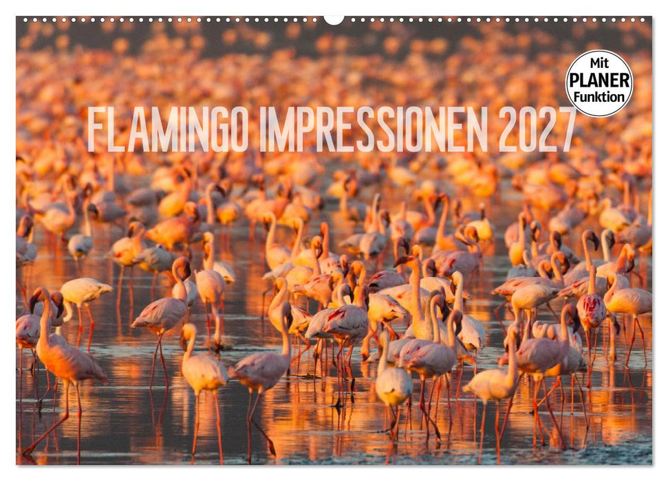 Flamingo Impressionen 2027 (CALVENDO Wandkalender 2027)