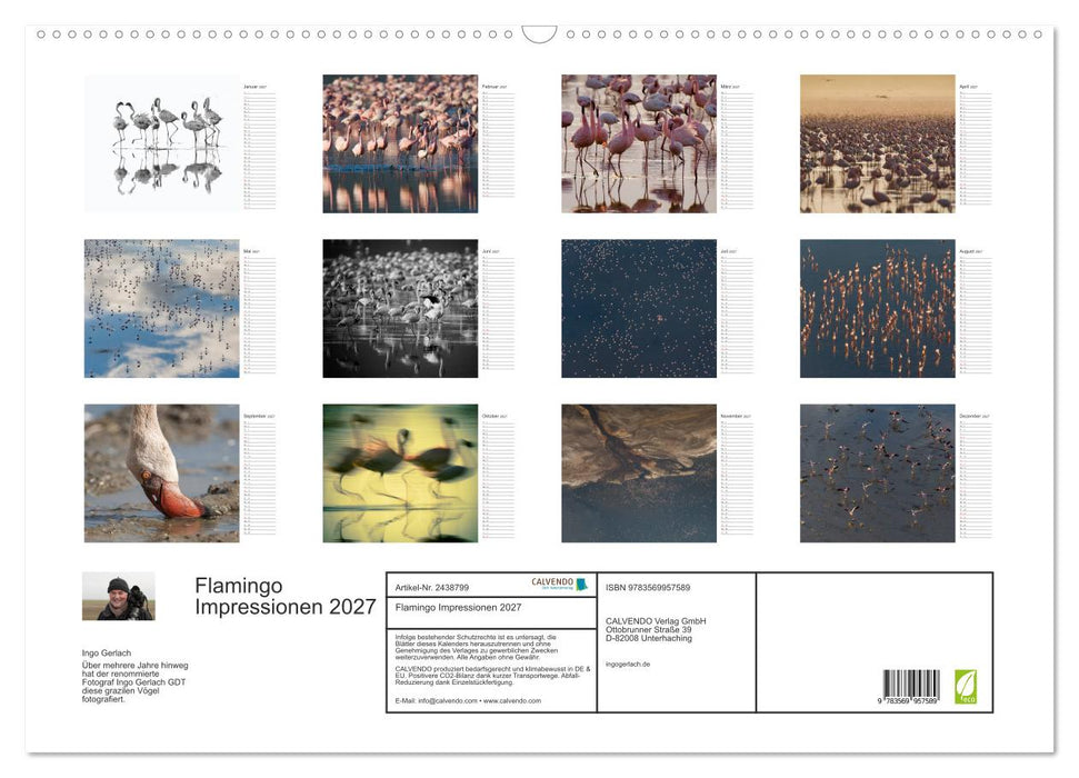 Flamingo Impressionen 2027 (CALVENDO Wandkalender 2027)