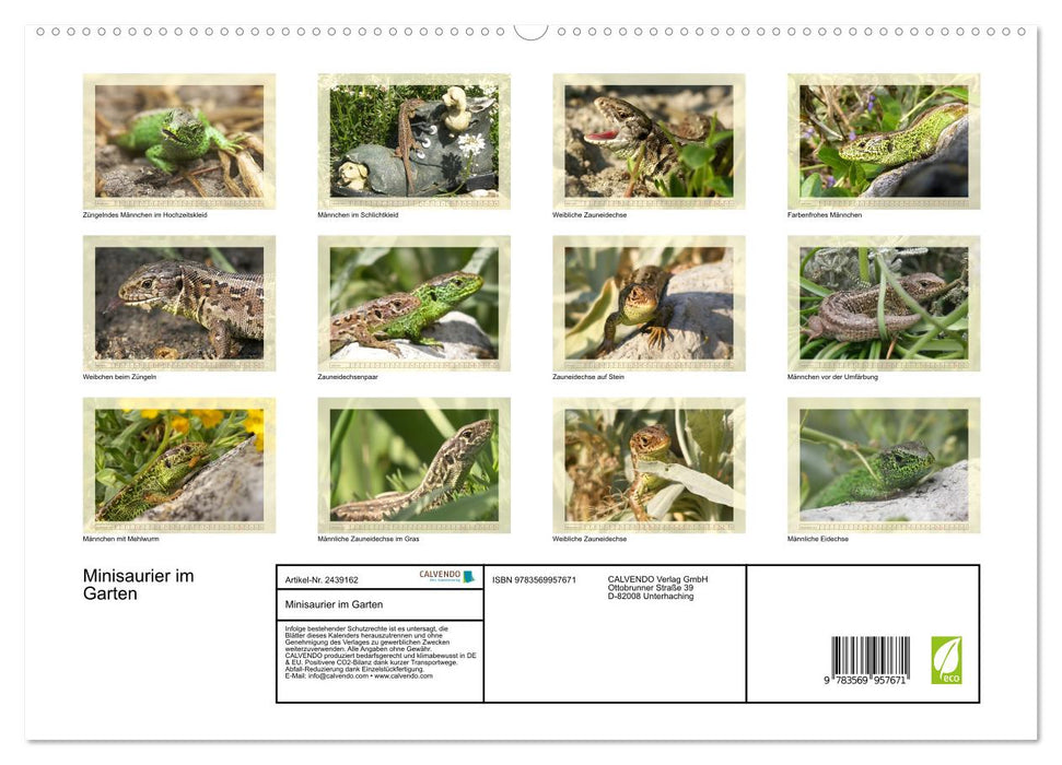 Minisaurier im Garten (CALVENDO Premium Wandkalender 2027)