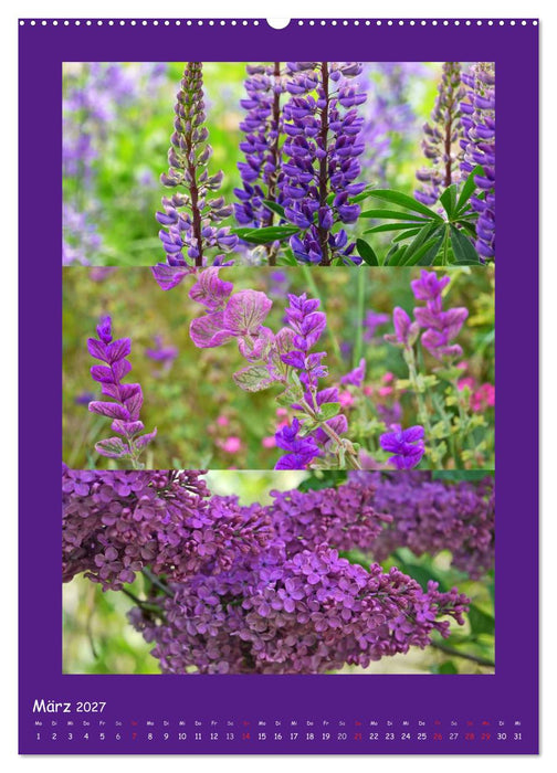 Natur im Farbenrausch (CALVENDO Premium Wandkalender 2027)