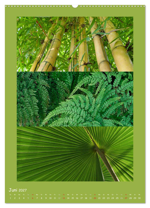 Natur im Farbenrausch (CALVENDO Premium Wandkalender 2027)