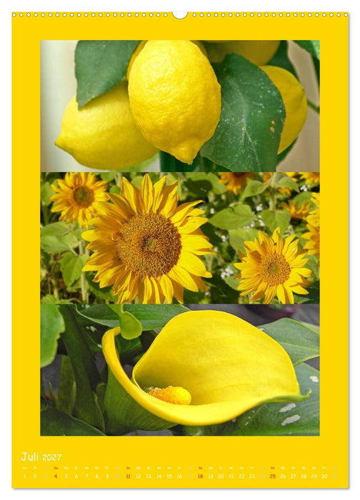 Natur im Farbenrausch (CALVENDO Premium Wandkalender 2027)