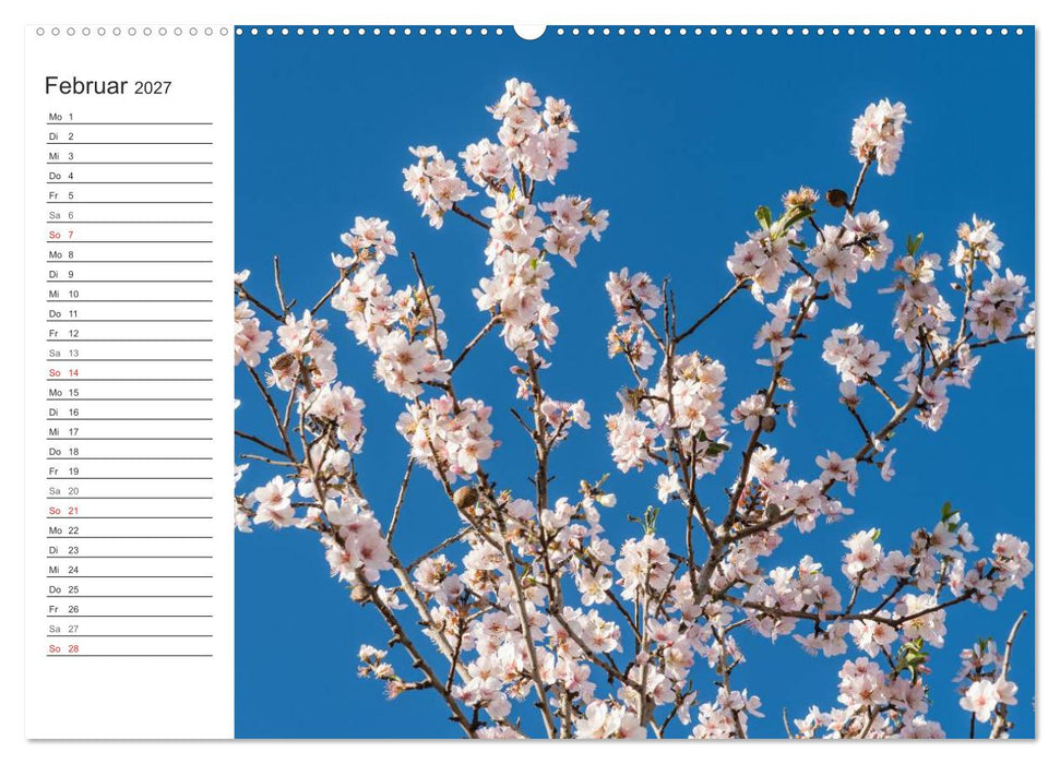 Emotionale Momente: Mandeln (CALVENDO Premium Wandkalender 2027)