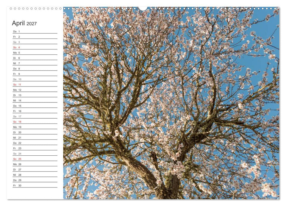 Emotionale Momente: Mandeln (CALVENDO Premium Wandkalender 2027)